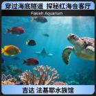 法基耶水族馆|吉达