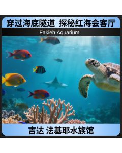法基耶水族馆|吉达