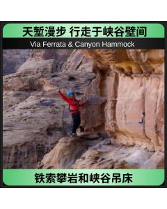 铁索攀岩和峡谷吊床